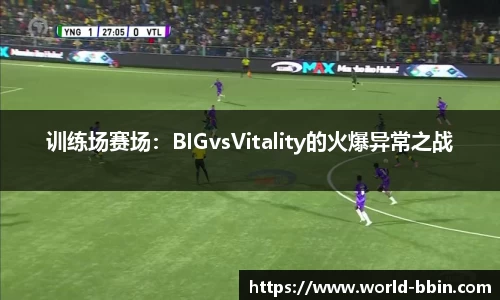训练场赛场：BIGvsVitality的火爆异常之战